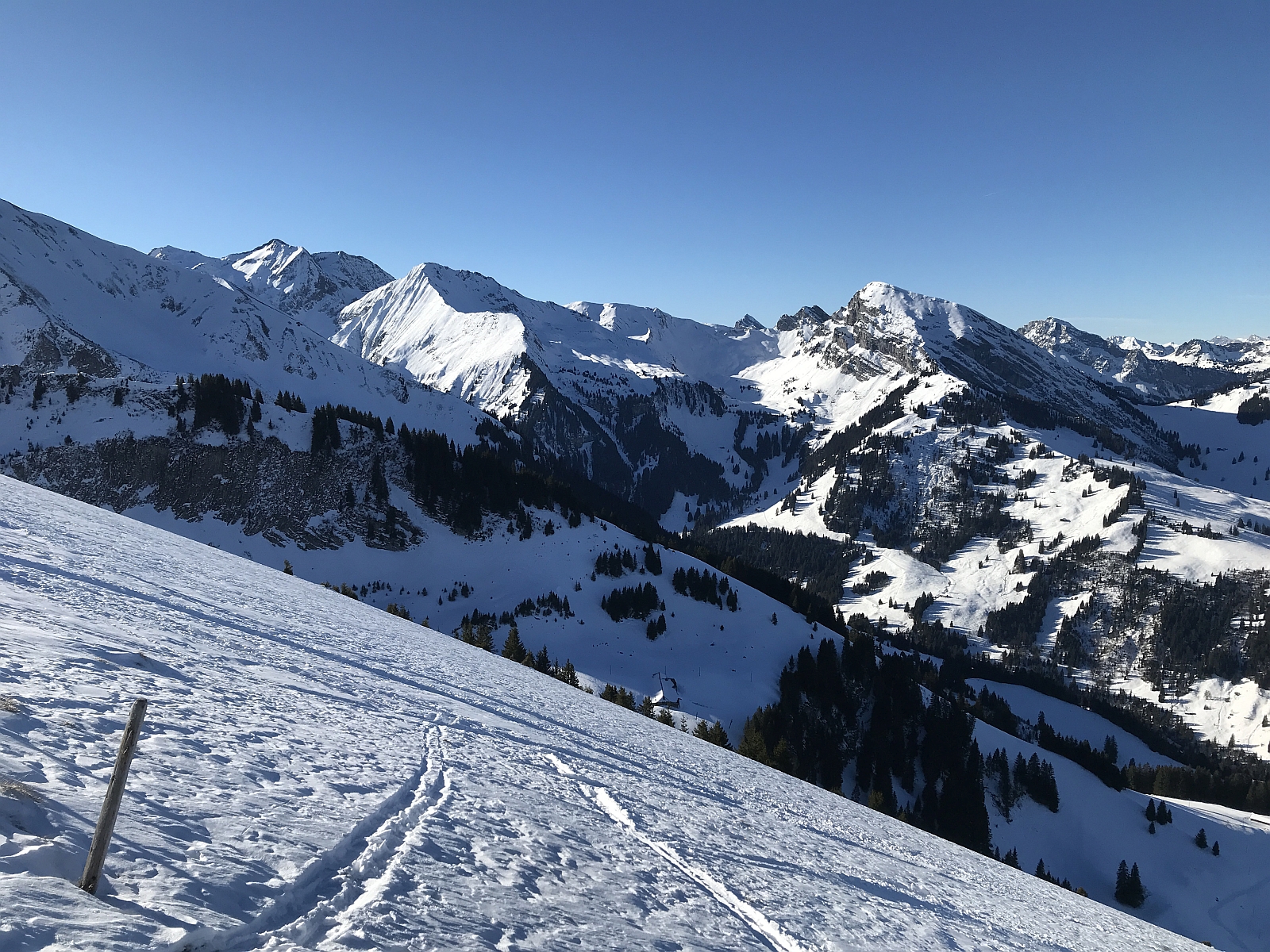 4_15. Jan 22_A JO Skitour Ochse Diemtigtal (104).jpg